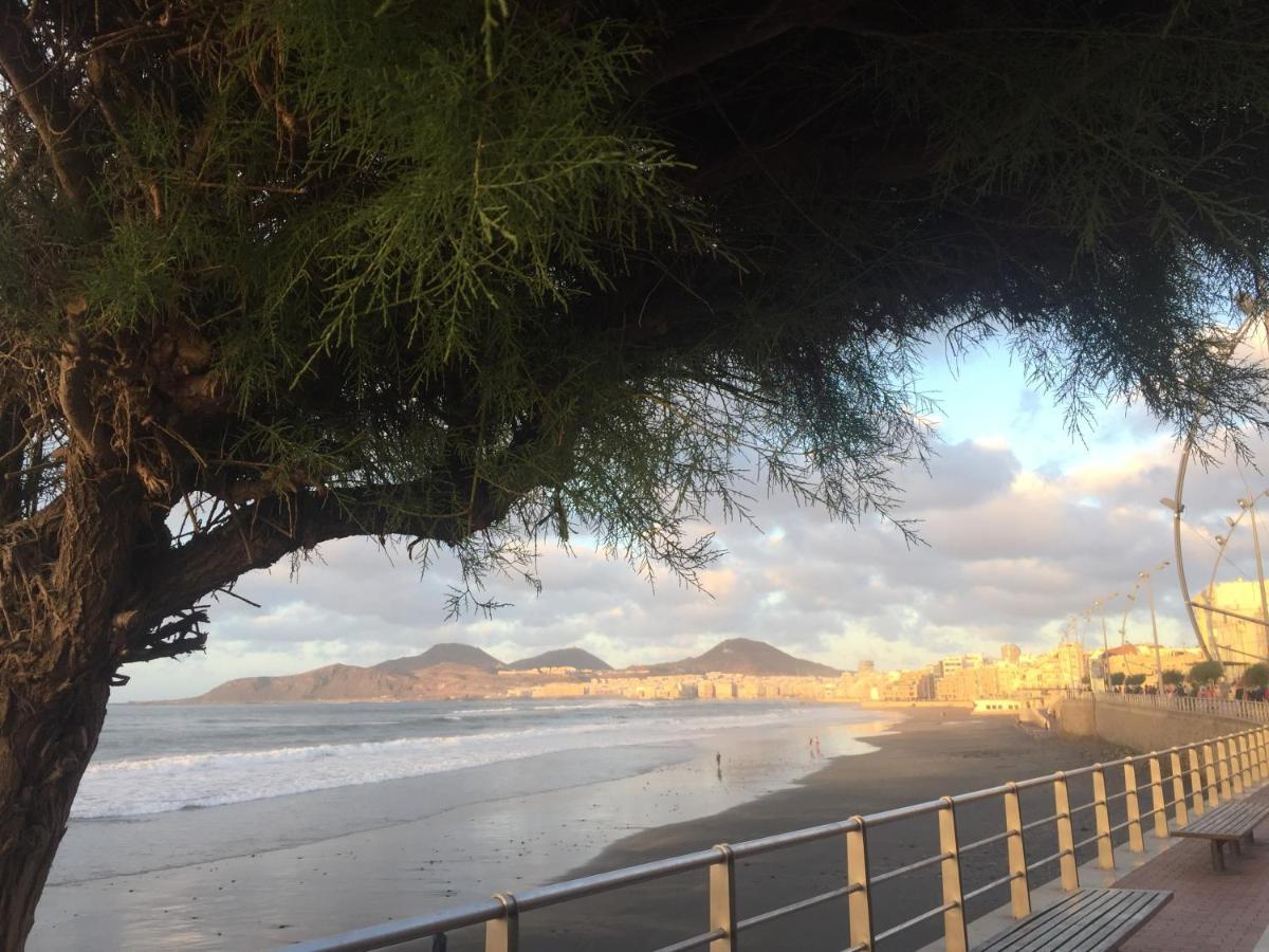 לאס פאלמס דה גראן קנאריה Las Canteras Beach מראה חיצוני תמונה